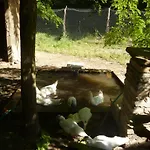 Фермерский дом Casale Regnano *