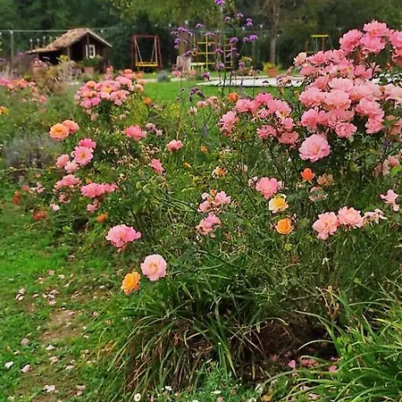 Casale Regnano Bauernhof *