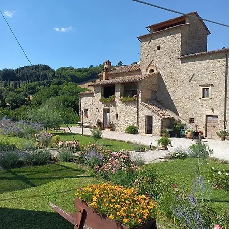 Farm stay Casale Regnano *