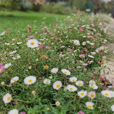 Casale Regnano * Città di Castello