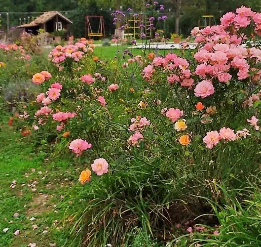 Casale Regnano Farmház *