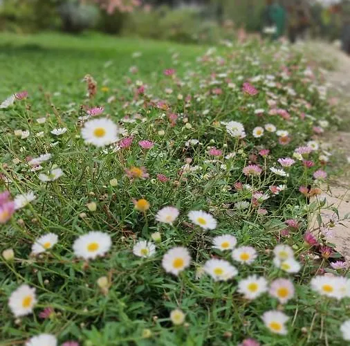 Casale Regnano * Città di Castello