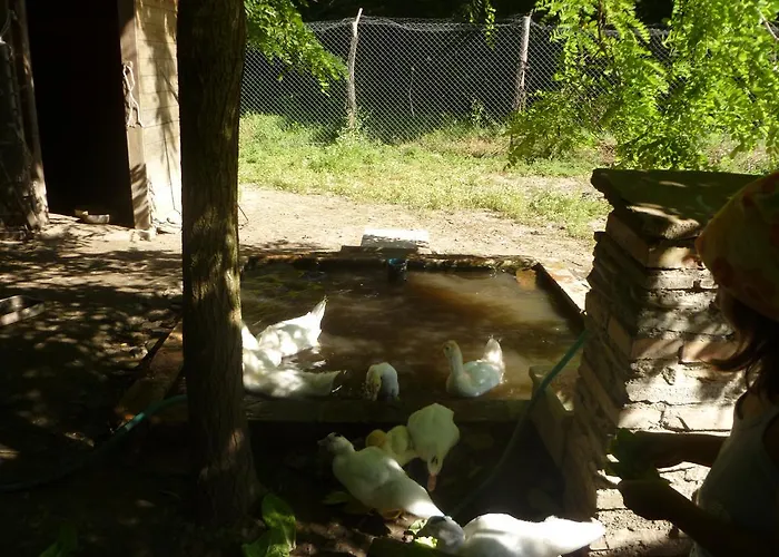 Farmház Casale Regnano *